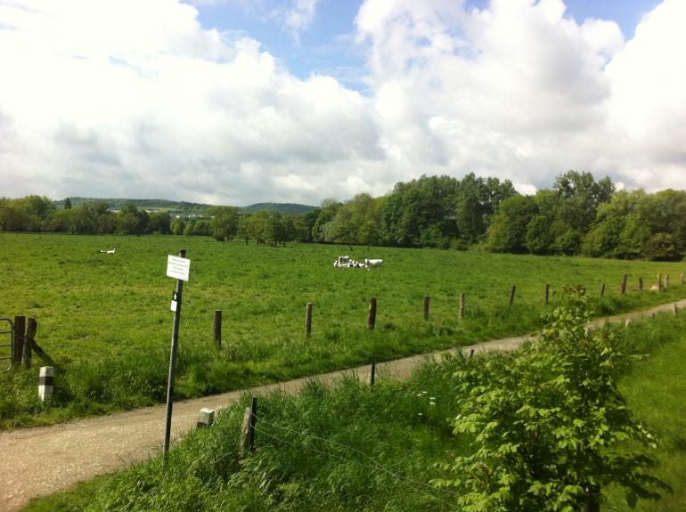 Weideland Weideland