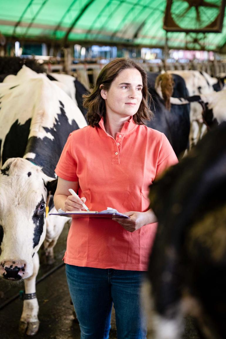 Intensivierung des Produktionssystems Bei der Milchleistungskontrolle